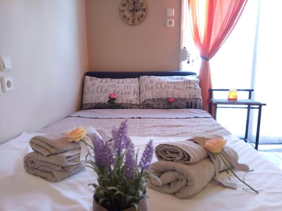 ρετιρέ στο κέντρο του βόλου Apartment